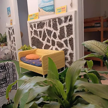 La Casita De *